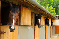 free Leake stable construction quotes